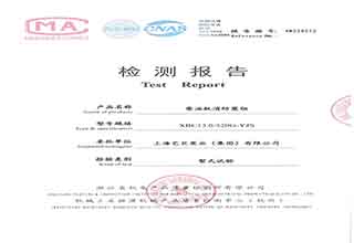 XBC13.0/320G-YJS柴油（yóu）機消防泵組檢驗報告